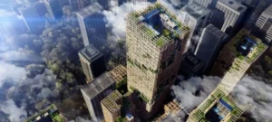 Edificio W-350