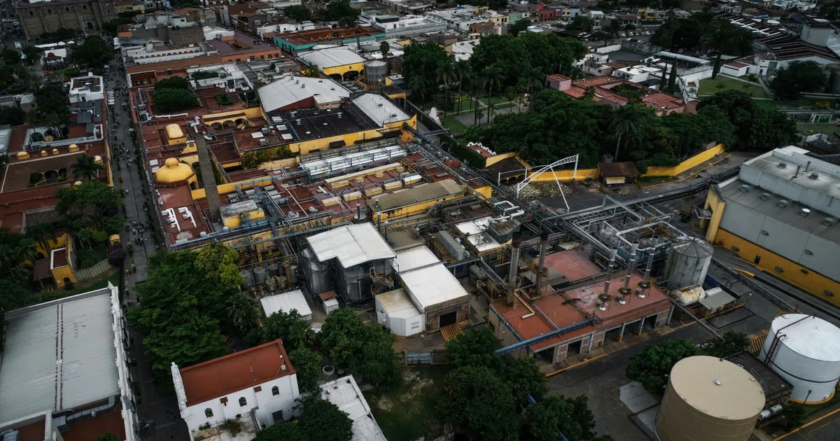 México liderazgo ambiental, contraste urbano-industrial con áreas verdes