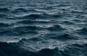 Mar abierto con múltiples olas encadenadas y espuma blanca en movimiento