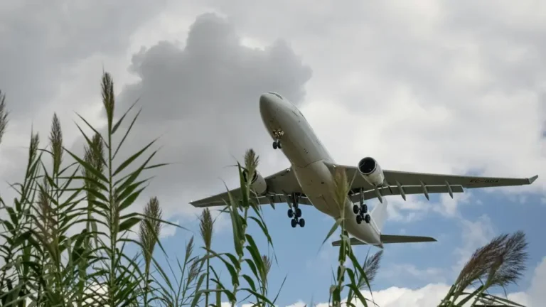 Avión despegando sobre el Delta del Llobregat en el Aeropuerto de Barcelona-El Prat