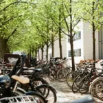 Bicicletas aparcadas bajo árboles en una calle de Copenhague, ejemplo de sostenibilidad y transporte ecológico.