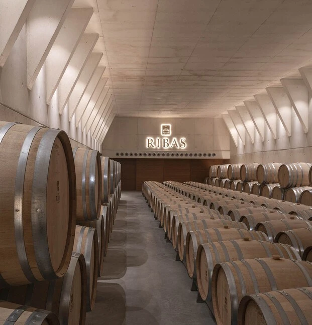 Arquitectura de bodegas contemporánea en la renovada Ribas, reinterpretando tradición y técnica.