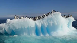 gestión del cambio en la empresa representada por un iceberg que se derrite