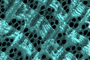 madera reforzada con nano-hierro en estructura celular tratada para materiales sostenibles