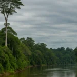 Referéndum del Yasuní en Ecuador y protección del Parque Nacional Yasuní